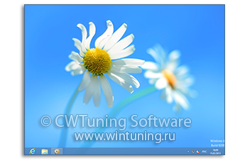 WinTuning: Программа для настройки и оптимизации Windows 10/Windows 8/Windows 7 - Скрыть все элементы с рабочего стола